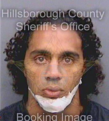 Garcia Henry - Hillsborough County, FL 