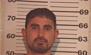 Hernandez Julio - Hidalgo County, TX 