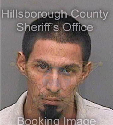 Gonzalez Armando - Hillsborough County, FL 