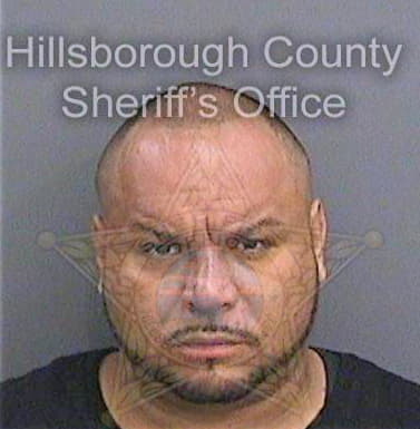 Pantoja Hermino - Hillsborough County, FL 