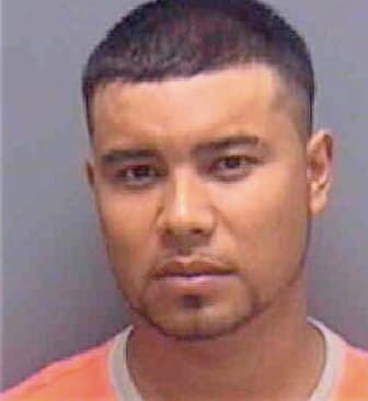 Hernandez-Torres Candelario - Lee County, FL 