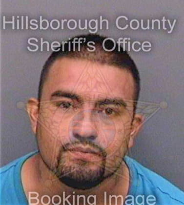 Reyes Fernando - Hillsborough County, FL 