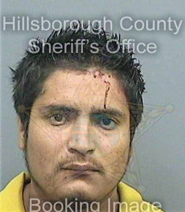 Diaz Abdon - Hillsborough County, FL 