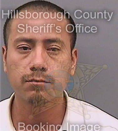 Miguel Irving - Hillsborough County, FL 
