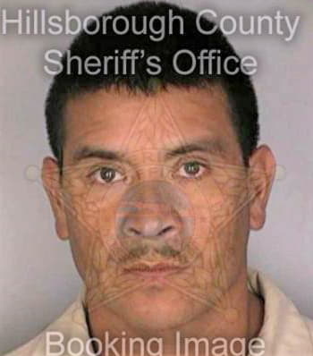 Jimenez Raymundo - Hillsborough County, FL 