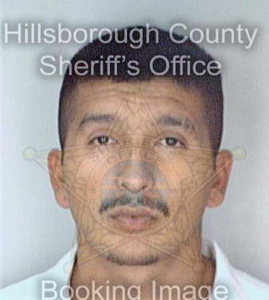 Cortez Jose - Hillsborough County, FL 