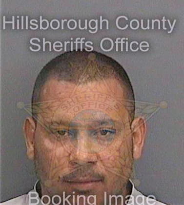 Guerra Osmany - Hillsborough County, FL 