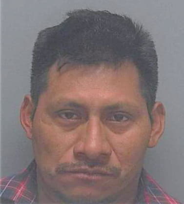 Juan Tomas - Lee County, FL 