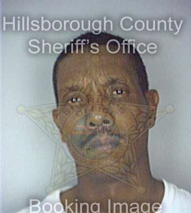 Richardson Henry - Hillsborough County, FL 