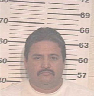 Morales Rene - Hidalgo County, TX 