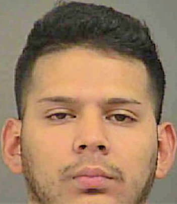 Romero Alcides - Mecklenburg County, NC 