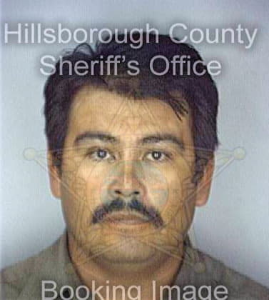 Perez Julio - Hillsborough County, FL 