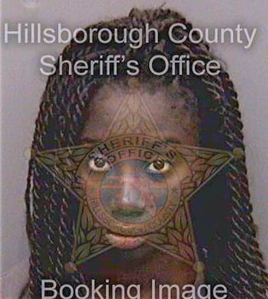 Cisse Fatou - Hillsborough County, FL 