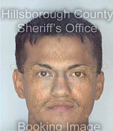 Ordonez Eberto - Hillsborough County, FL 