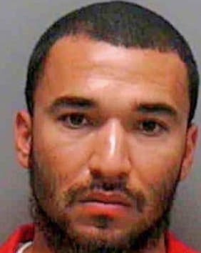 Solis Jon - Lee County, FL 