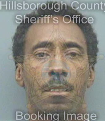 Mcnish Darwin - Hillsborough County, FL 