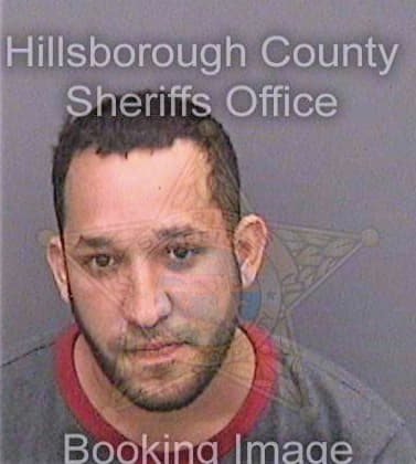 Gonzalez Carlos - Hillsborough County, FL 