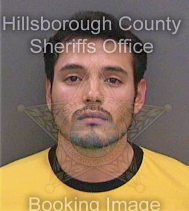 Delacruz George - Hillsborough County, FL 