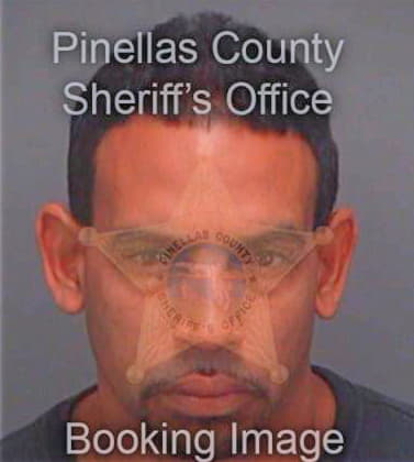 Rodriguez Eric - Pinellas County, FL 