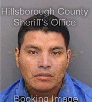 Gasparestevan Mateo - Hillsborough County, FL 