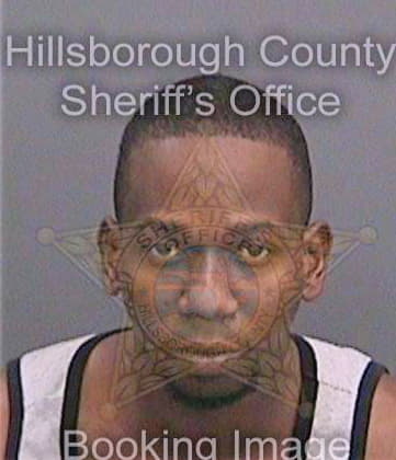 Thompson Brian - Hillsborough County, FL 