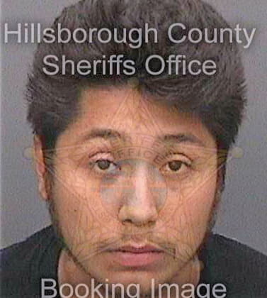 Maldonado Ricardo - Hillsborough County, FL 