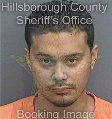 Navas Roberto - Hillsborough County, FL 