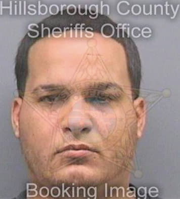 Anguitaleon Victor - Hillsborough County, FL 