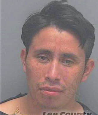 Santizo Alfonzo - Lee County, FL 