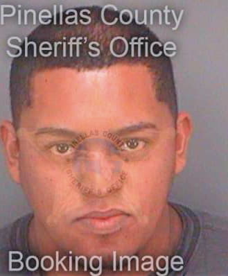 Godoyvasquez Carlos - Pinellas County, FL 