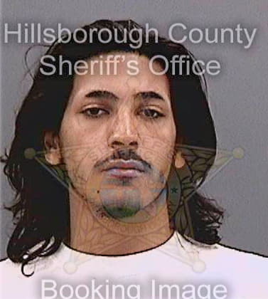 Beltran Richard - Hillsborough County, FL 