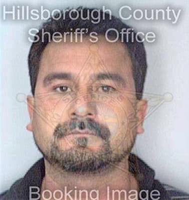 Galvan Jorge - Hillsborough County, FL 