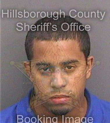 Gonzalez Arsenio - Hillsborough County, FL 