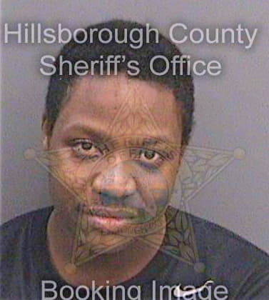 Bronson Joshua - Hillsborough County, FL 