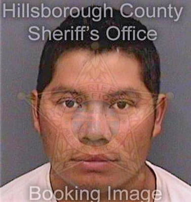 Santizgomez Moises - Hillsborough County, FL 