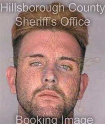 Mchugh Gregory - Hillsborough County, FL 