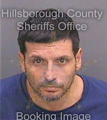 Vasquez Luis - Hillsborough County, FL 