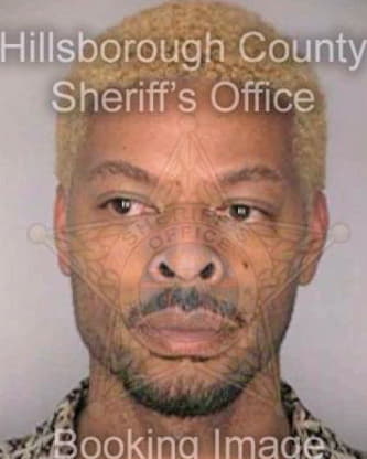 Boyce Christopher - Hillsborough County, FL 