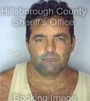 Perez Vidimir - Hillsborough County, FL 