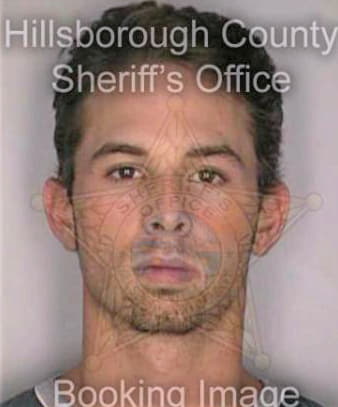 Levine Steven - Hillsborough County, FL 