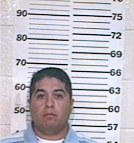 Galvan Domingo - Hidalgo County, TX 