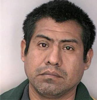 Lopez Francisco - Hillsborough County, FL 