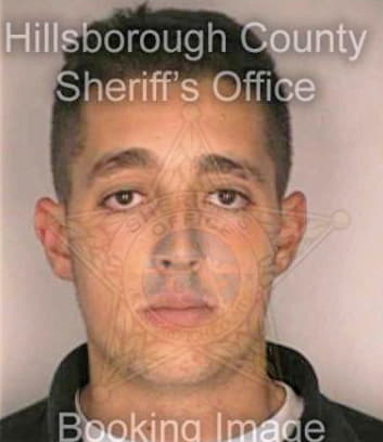 Pidala Anthony - Hillsborough County, FL 