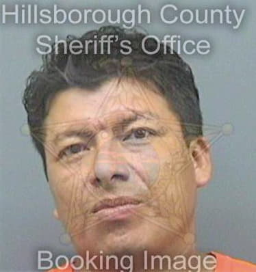 Vasquez Herman - Hillsborough County, FL 