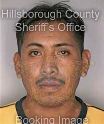 Torresramirez Jose - Hillsborough County, FL 