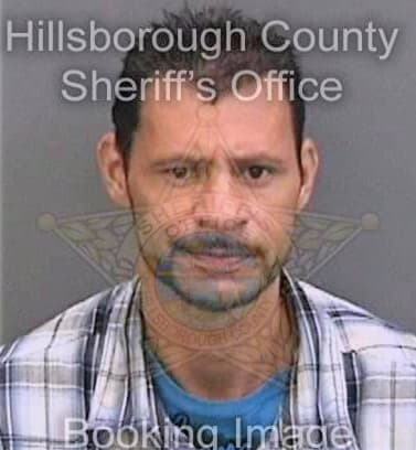 Perez Josue - Hillsborough County, FL 