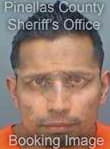 Ali Mohammad - Pinellas County, FL 