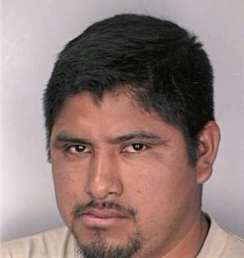 Gilberto Aldama - Hillsborough County, FL 