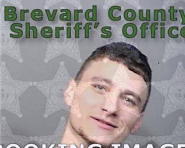 Hernandez Michael - Brevard County, FL 