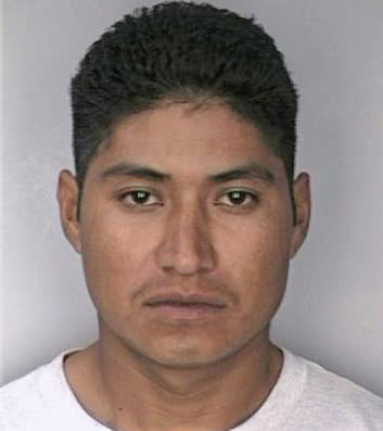Mendoza Ricardo - Hillsborough County, FL 